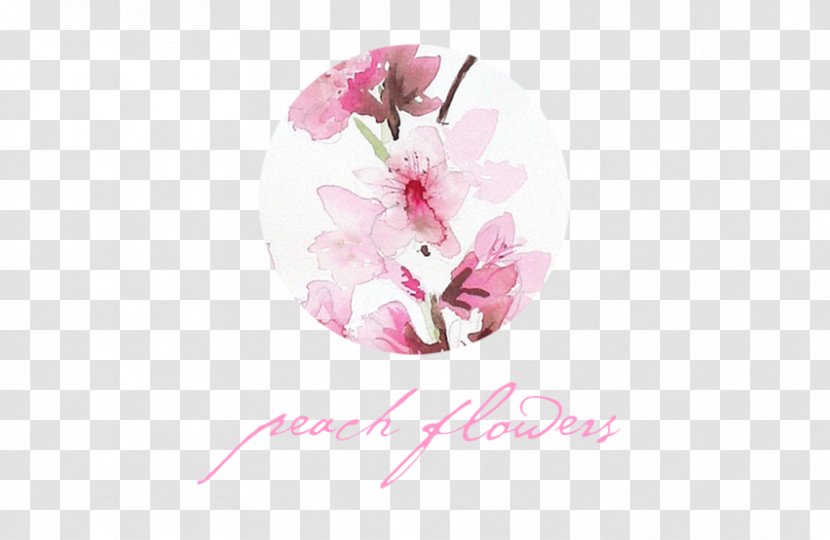 Flower Lilac Petal Violet Cherry Blossom - Plant - Peach Flowers Transparent PNG