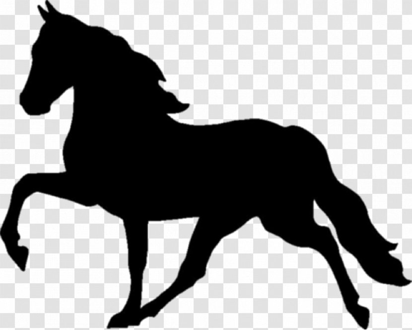 Mustang Tennessee Walking Horse Racking English Riding Stallion - Mane Transparent PNG