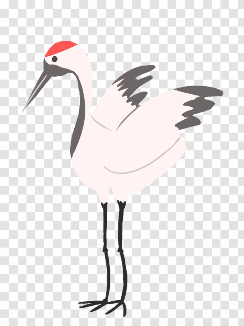 White Stork Bird Wader Beak Ibis Transparent PNG