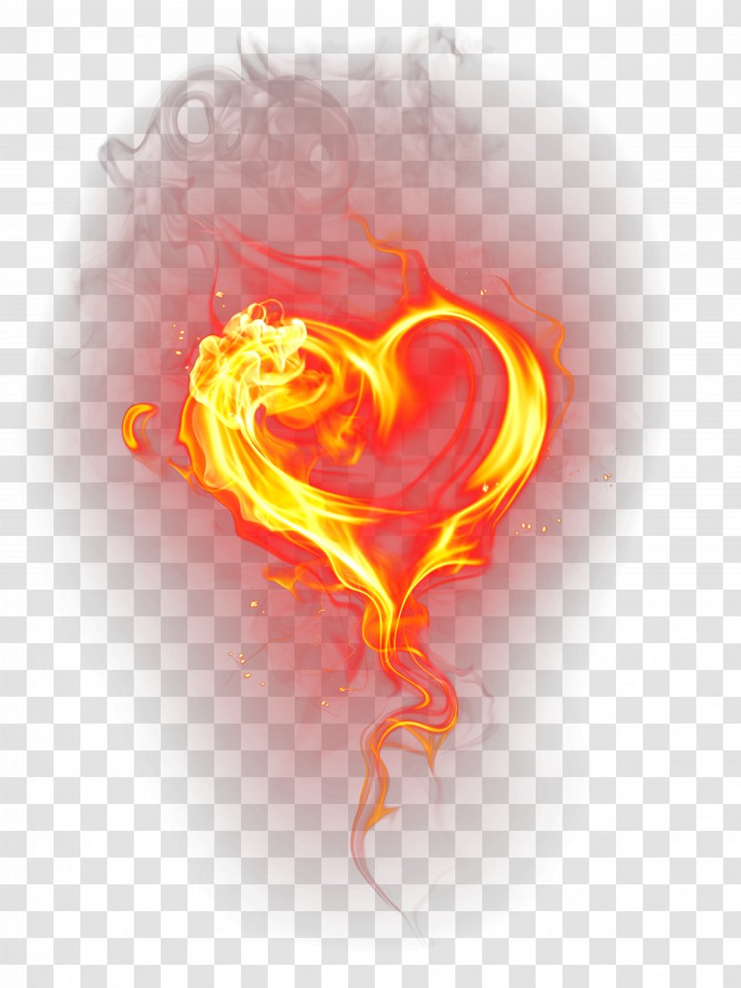 Creative Hearts - Heart - Flower Transparent PNG