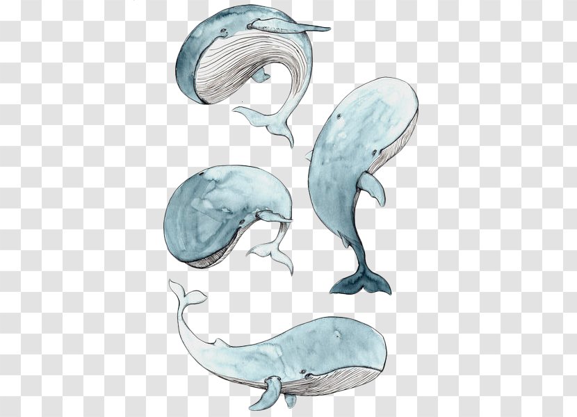 Cetacea Drawing Baby Whale Watercolor Painting Illustration - Mouse Mats - Icon Transparent PNG