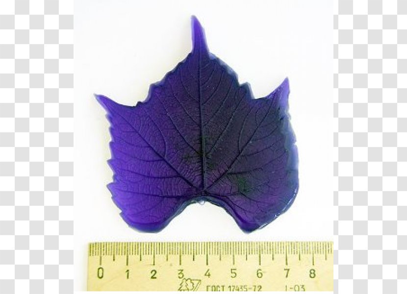 Leaf Purple - Moldy Transparent PNG