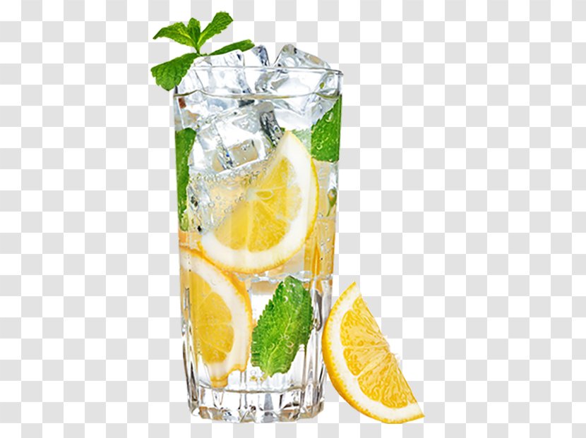 Lemonade Lemon-lime Drink Water - Mint - Lemon Ice Transparent PNG