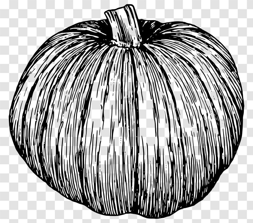 Candy Pumpkin Cucurbita Black And White Jack-o'-lantern Transparent PNG