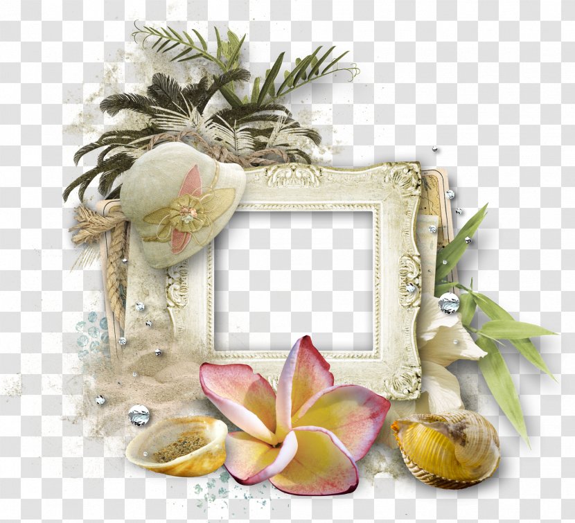 Picture Frames Beach Animation Clip Art - Frame - Delicious In The Sea Transparent PNG