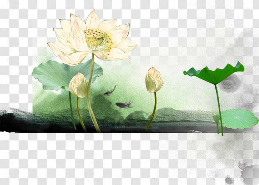 Budaya Tionghoa Chinoiserie Poster - Flowering Plant - Ink Lotus Decoration Transparent PNG