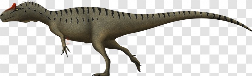 Tyrannosaurus Allosaurus Marshosaurus Giganotosaurus Sinraptor - Organism - Dinosaur Transparent PNG