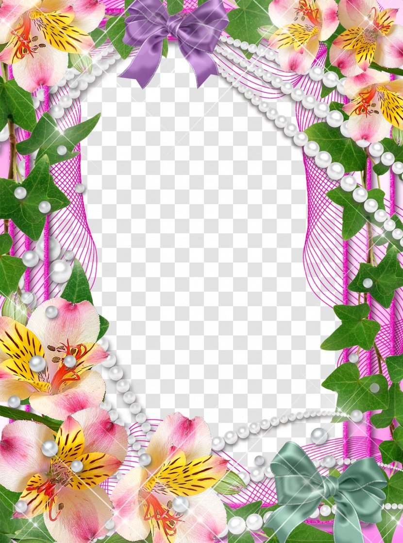 Picture Frame Photography Orchids - Mood Pictures Transparent PNG