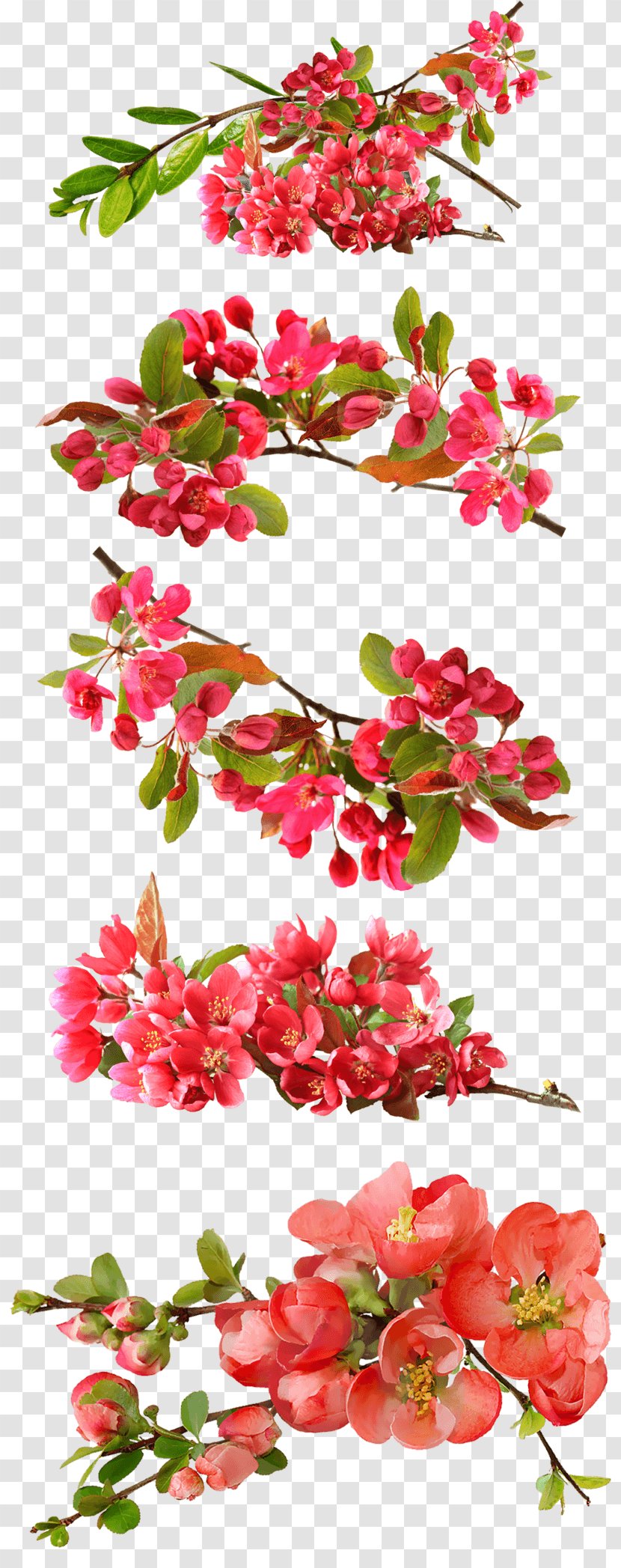 Image Desktop Wallpaper Clip Art Stock.xchng - Tree - Red Vintage Floral Transparent PNG