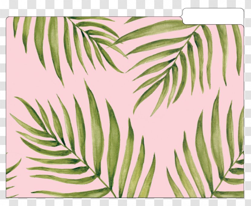 File Folders Leaf Ring Binder Paper Directory - Palm Leave Transparent PNG