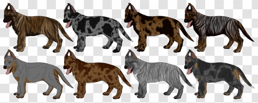 Cat Dog Breed Tail Wildlife - Please Do Not Litter Transparent PNG