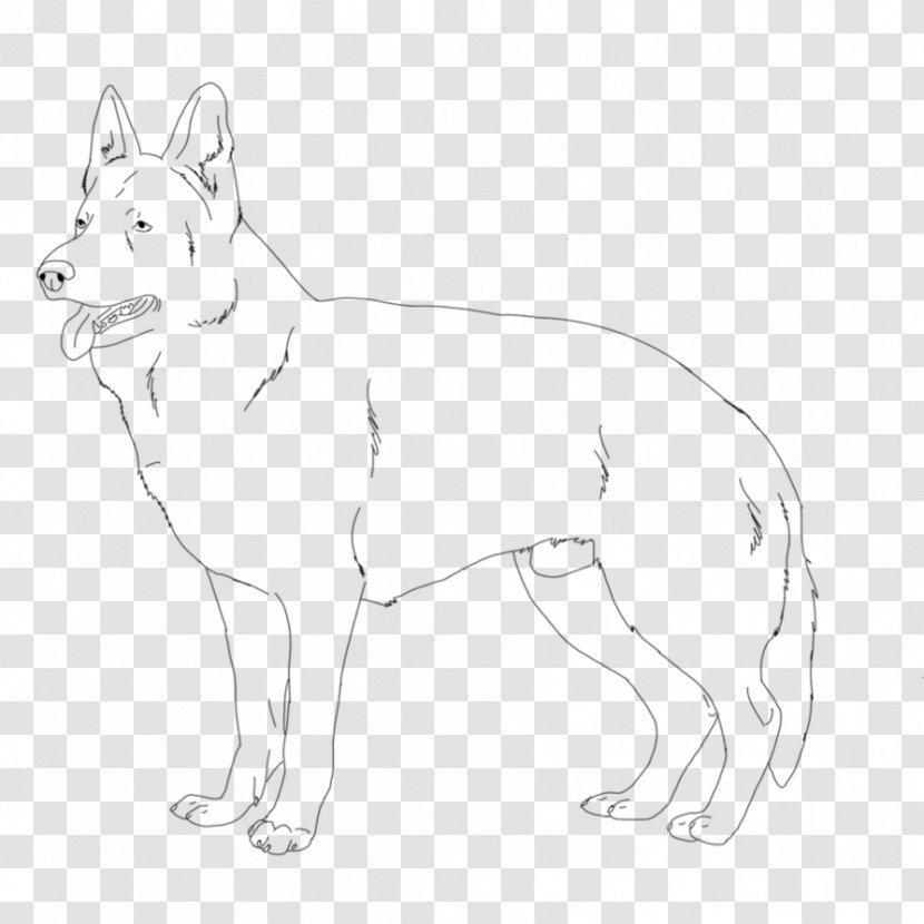 Dog Breed Red Fox Line Art Whiskers - Paw Transparent PNG