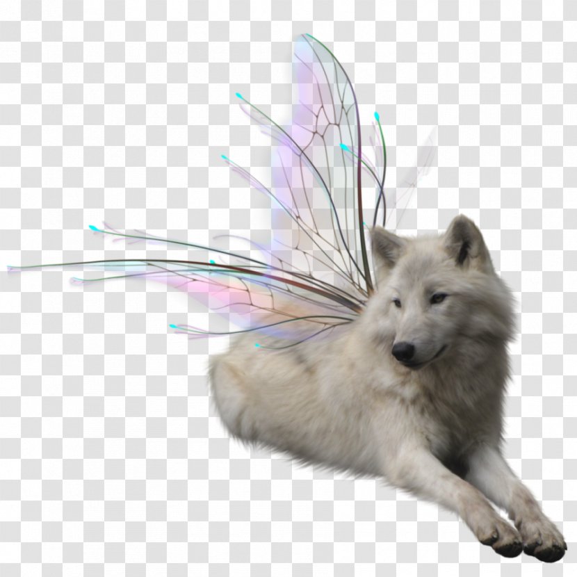 Dog Arctic Wolf Clip Art - Canis - White Transparent PNG
