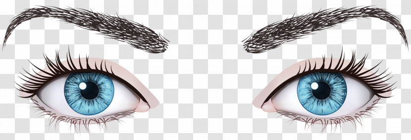 Forehead Face Eye Color Ophthalmology Transparent PNG