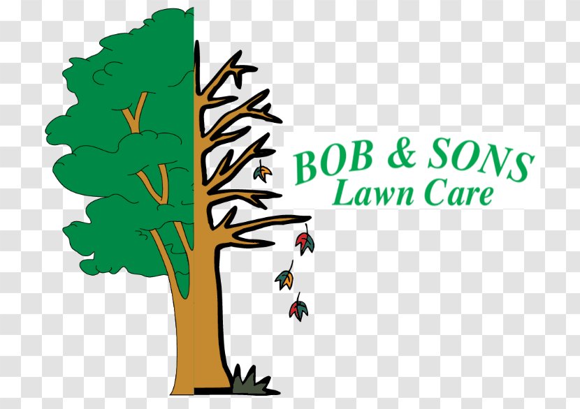 Publicity Poster Slogan Bob And Sons Lawn Care Image - Tree - Epa Certified Contractor Transparent PNG