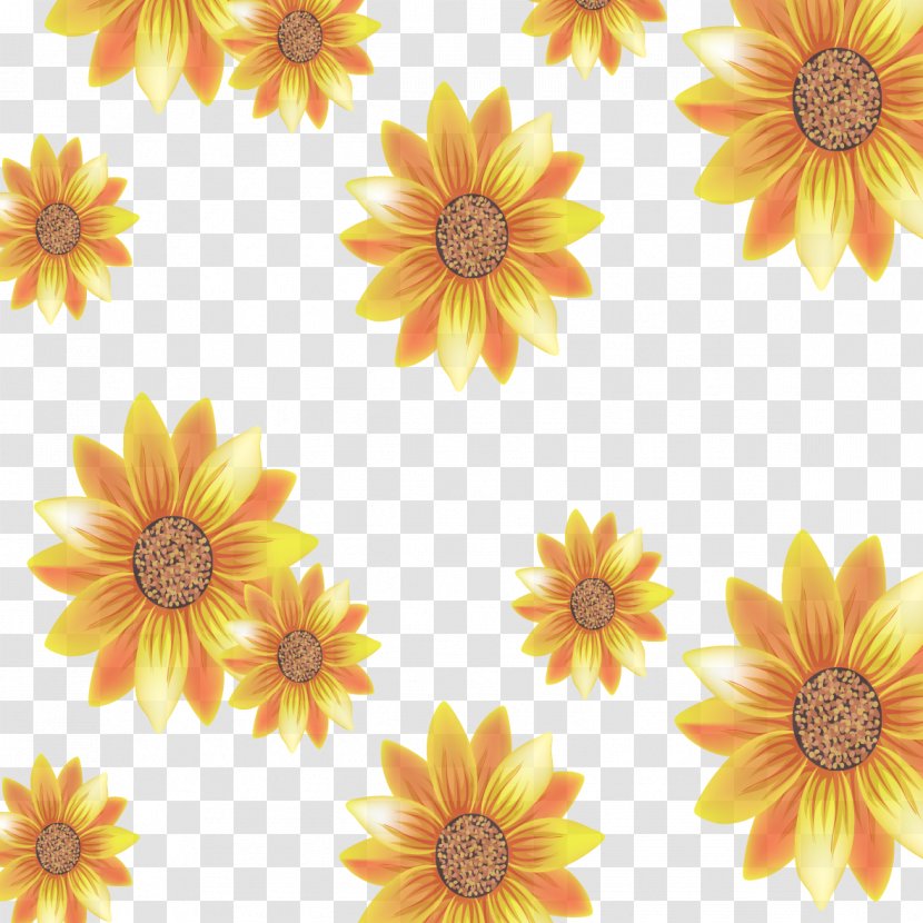 Common Sunflower Yellow - Gerbera Transparent PNG