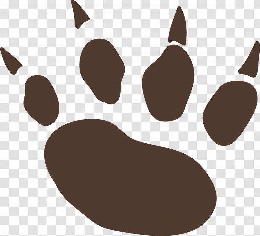 Paw Dog - Drawing - Cartoon Footprints Transparent PNG