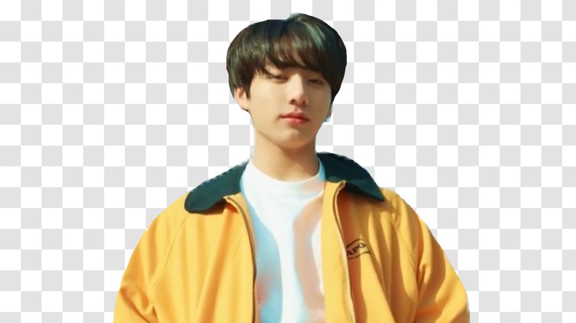 Jungkook Euphoria BTS Love Yourself: Answer Anpanman - Tree - Wonder Pets Livedash Transparent PNG