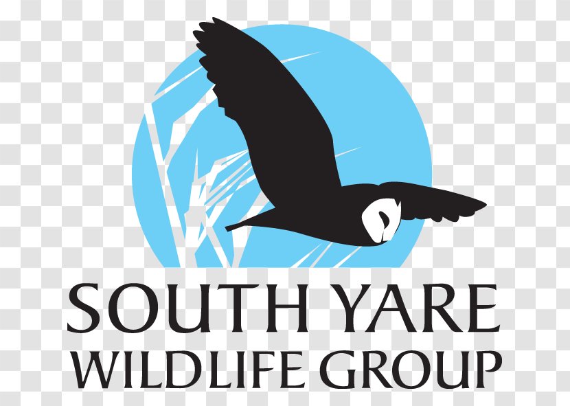 Forest School Logo Wildlife Garden Project - Owl Transparent PNG