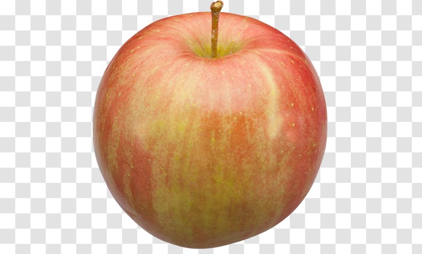 Local Food McIntosh Laboratory - Apple Transparent PNG