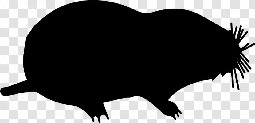 Rat Moles Shape Animal Mammal - Beak Transparent PNG