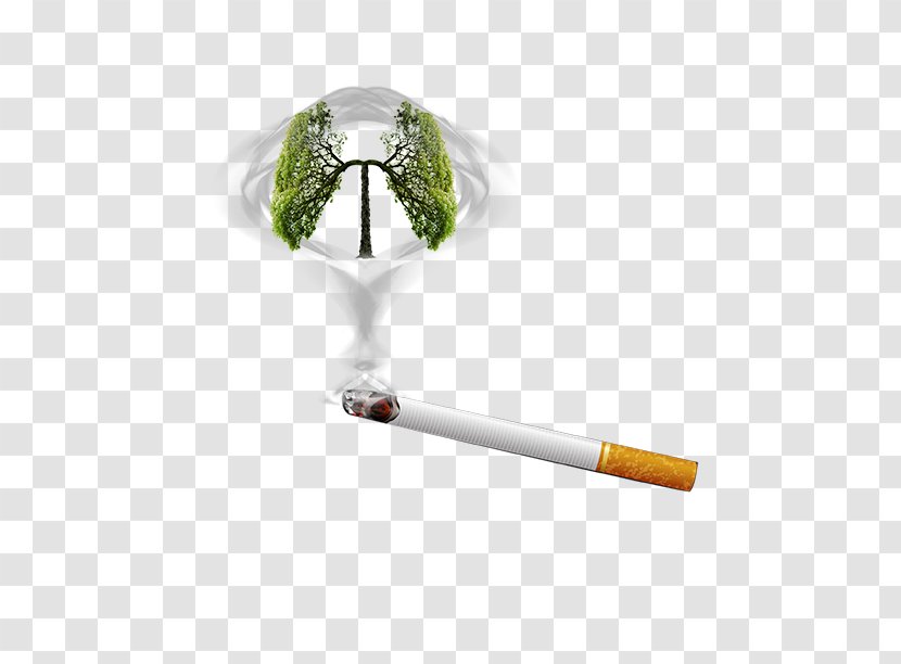 Smoking Cessation Ban Cigarette - Frame - Quit Poster Transparent PNG