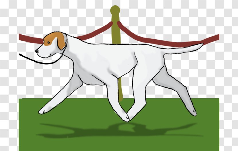 Pointer English Springer Spaniel Basenji Puppy Dobermann - Cartoon Transparent PNG