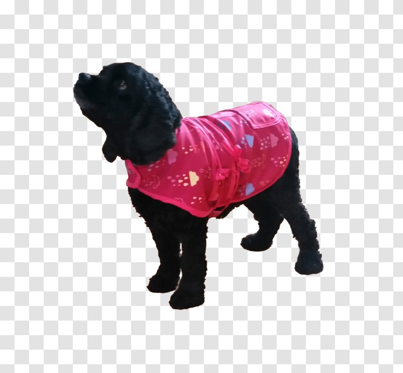 Dog Breed Puppy Coat Wool Transparent PNG