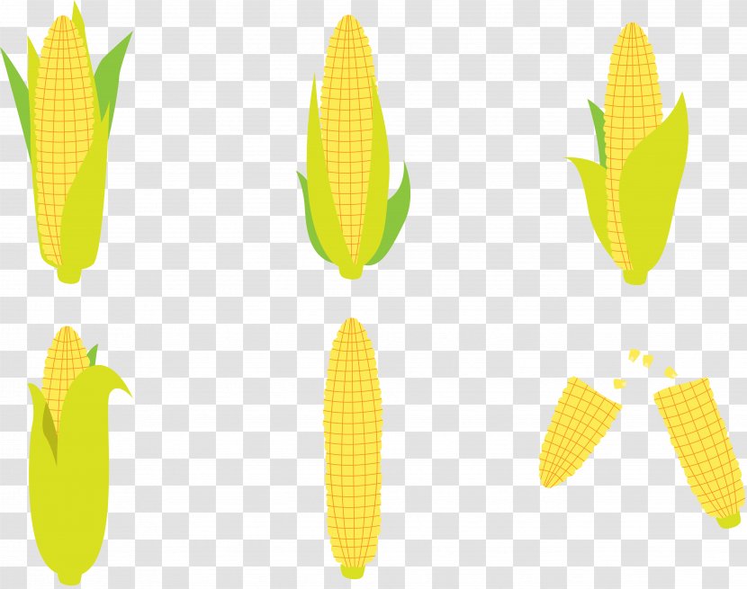 Corn Flakes Maize On The Cob - Ear - Golden Transparent PNG