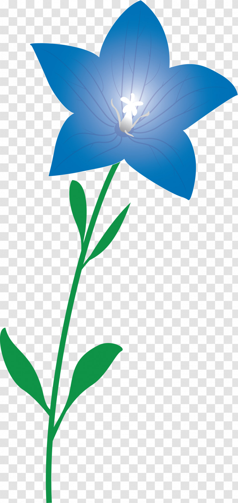 Balloon Flower Transparent PNG