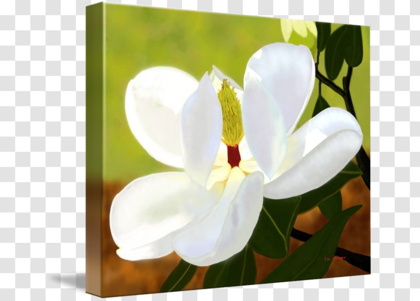 Moth Orchids Art Digital Painting Photo Manipulation - Orchid Transparent PNG