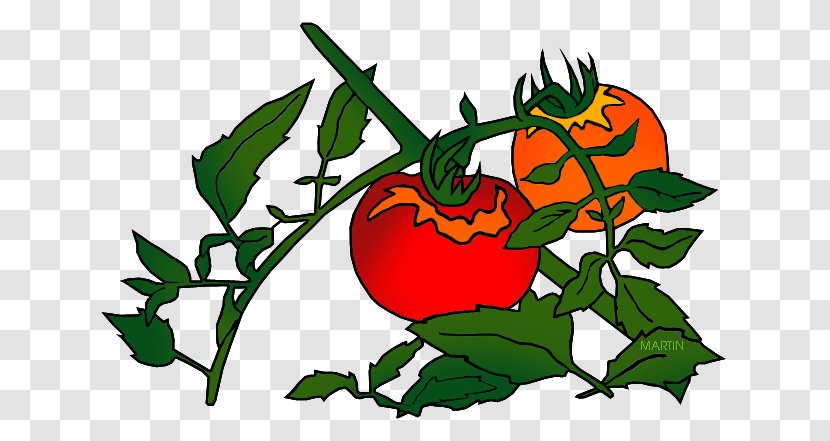 Plant Food Tomato Botany Clip Art - Seed Transparent PNG