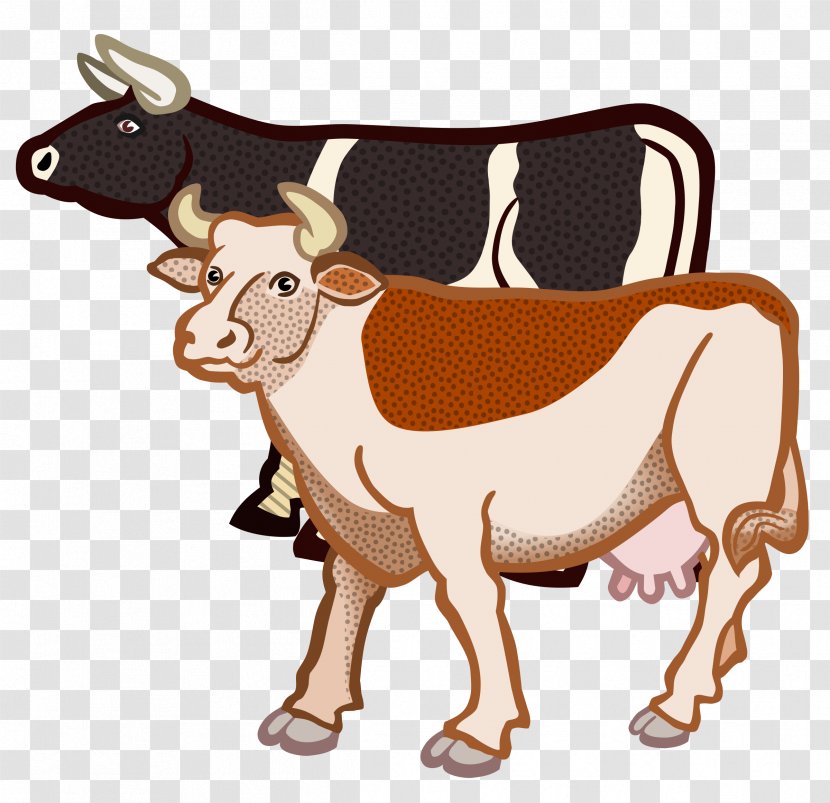 Jersey Cattle British White Highland Clip Art - Horn - A Cow Transparent PNG