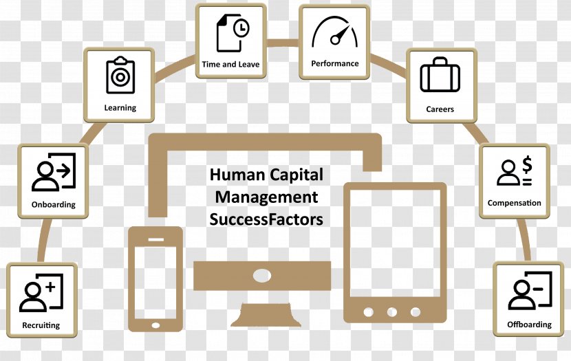 Human Capital Resource Onboarding Talent Management - Career Transparent PNG