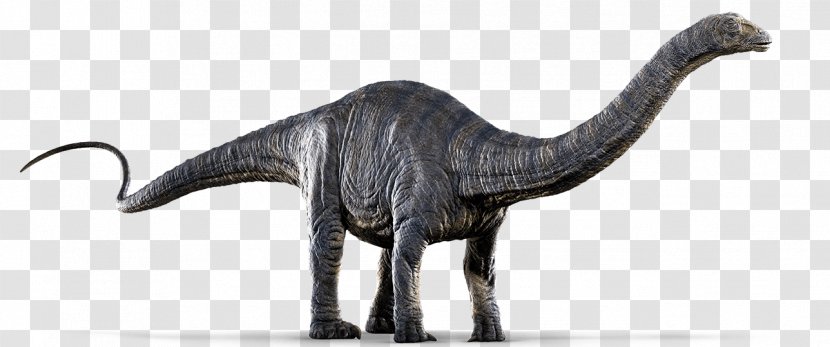 Dr. Henry Wu Apatosaurus Brachiosaurus Mosasaurus Diplodocus - Triceratops - Jurassic World Transparent PNG