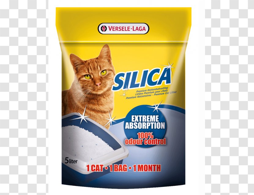 Silica Gel Silicon Dioxide Cat Absorption Bedding Transparent PNG