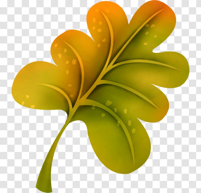 Leaf Petal - Yellow Transparent PNG