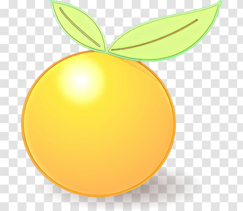 Orange Transparent PNG