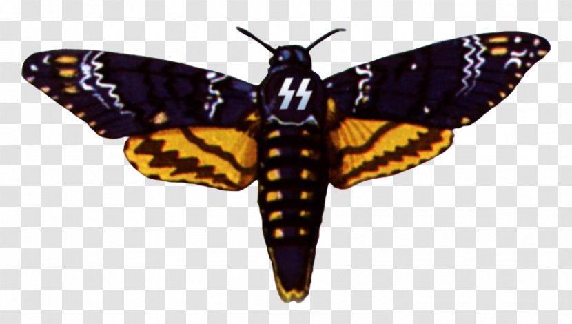 Monarch Butterfly African Death's Head Hawkmoth Insect - Wing Transparent PNG