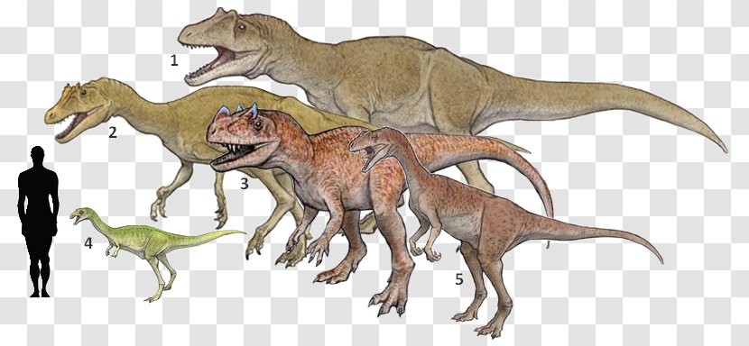 Deltadromeus Bahariasaurus Elaphrosaurus Ceratosaurus Tyrannosaurus - Bahariya Oasis - Jurassic Mammals Transparent PNG