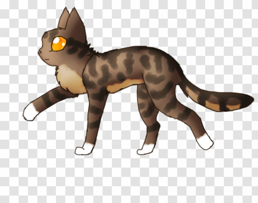 Whiskers Cat Fauna Tail Animal - Figure Transparent PNG