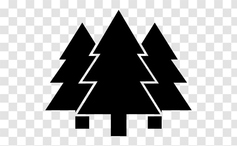 Temperate Coniferous Forest - Symmetry - Woods Transparent PNG