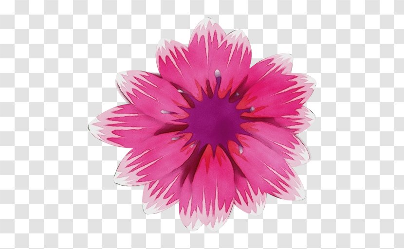 Pink Petal Flower Gerbera Plant - Daisy Family - Aster Transparent PNG