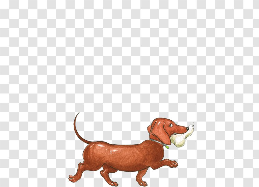 Hairy Maclary From Donaldson's Dairy Schnitzel Von Krumm, Dogs Never Climb Trees Dachshund - Donaldson S Transparent PNG