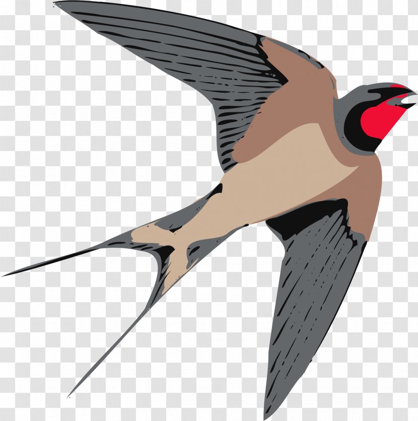 Swallow Bird Clip Art - Sparrow Transparent PNG