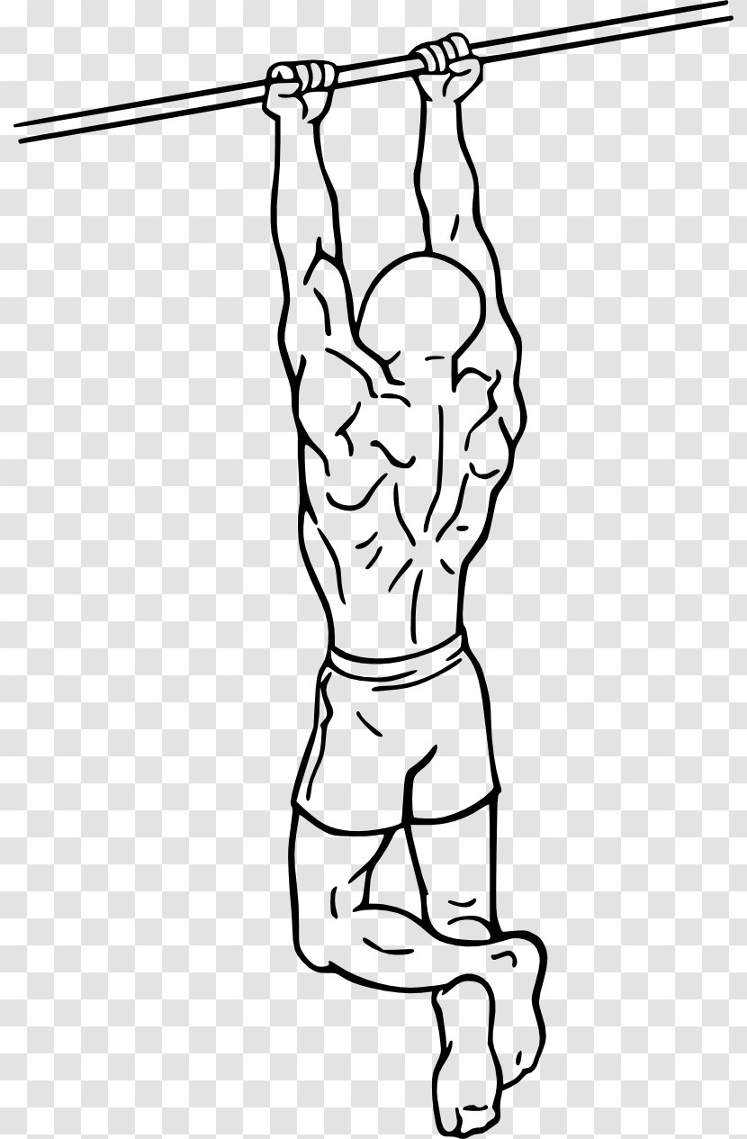 Chin-up Pull-up Biceps Curl Exercise - Silhouette - Creative Chin Transparent PNG