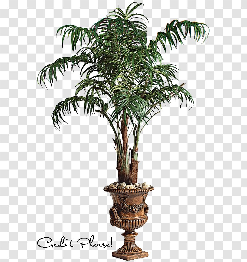 Arecaceae Tree Clip Art - Houseplant - Palm Artwork Transparent PNG