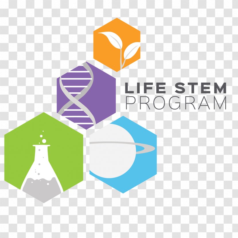 Science, Technology, Engineering, And Mathematics Biology Coursework Research - Organization - Stem Transparent PNG