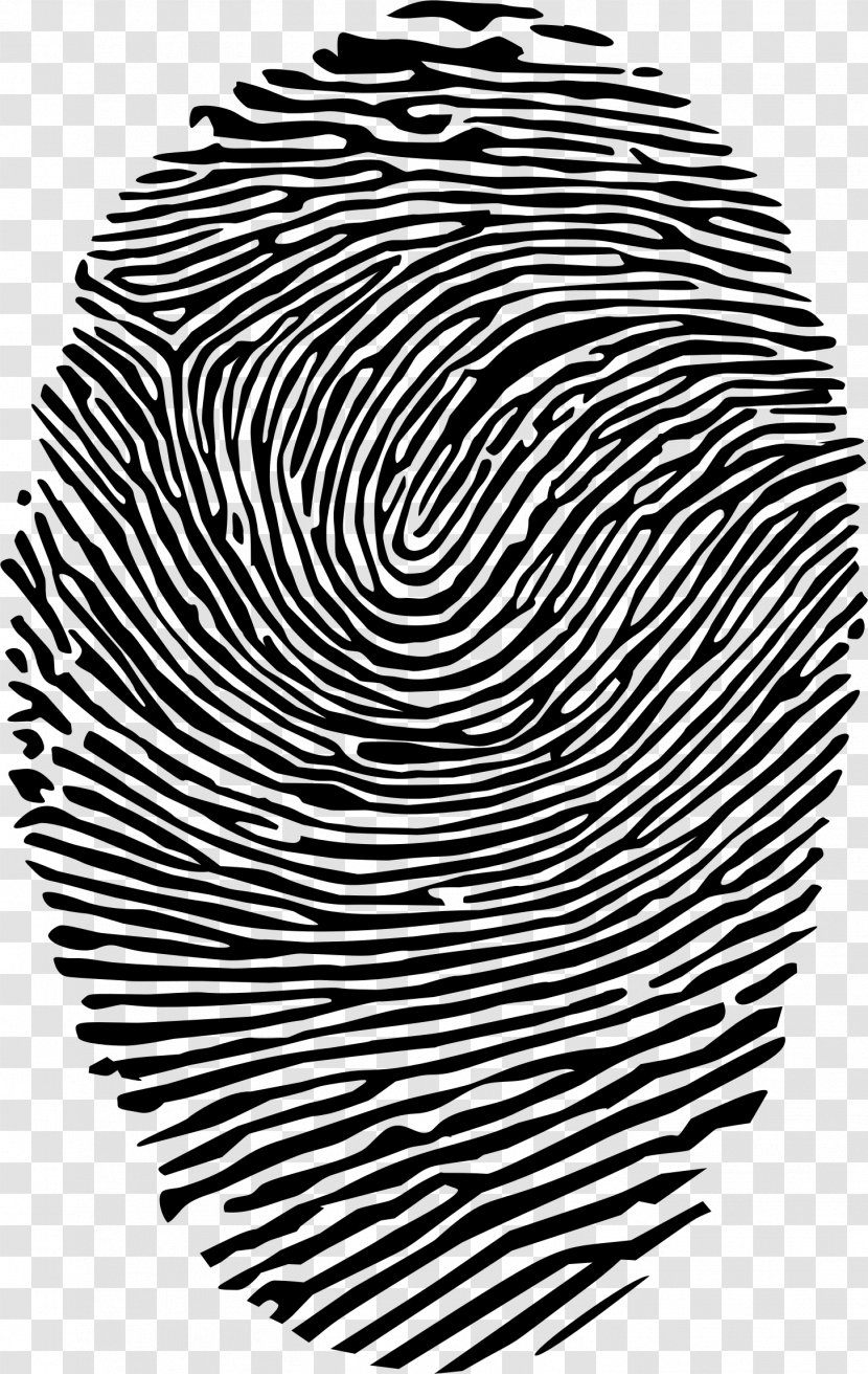 Fingerprint Spiral Clip Art - Finger Print Transparent PNG