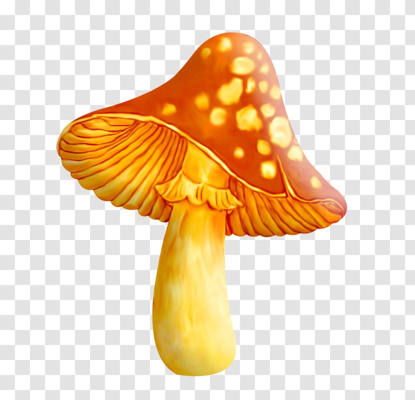 Common Mushroom Clip Art - Amanita Muscaria Transparent PNG